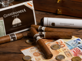 Guantanamera puros precio