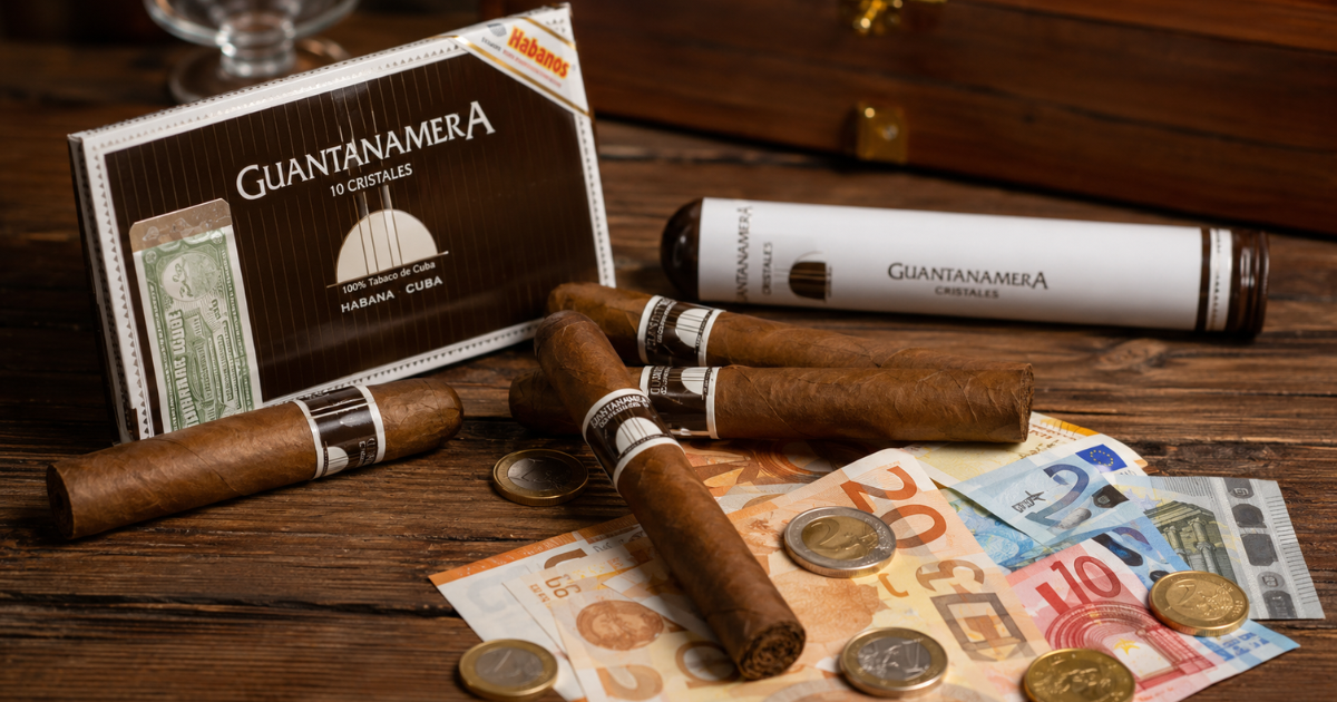 Guantanamera puros precio