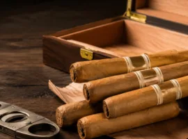Puros suaves para principiantes